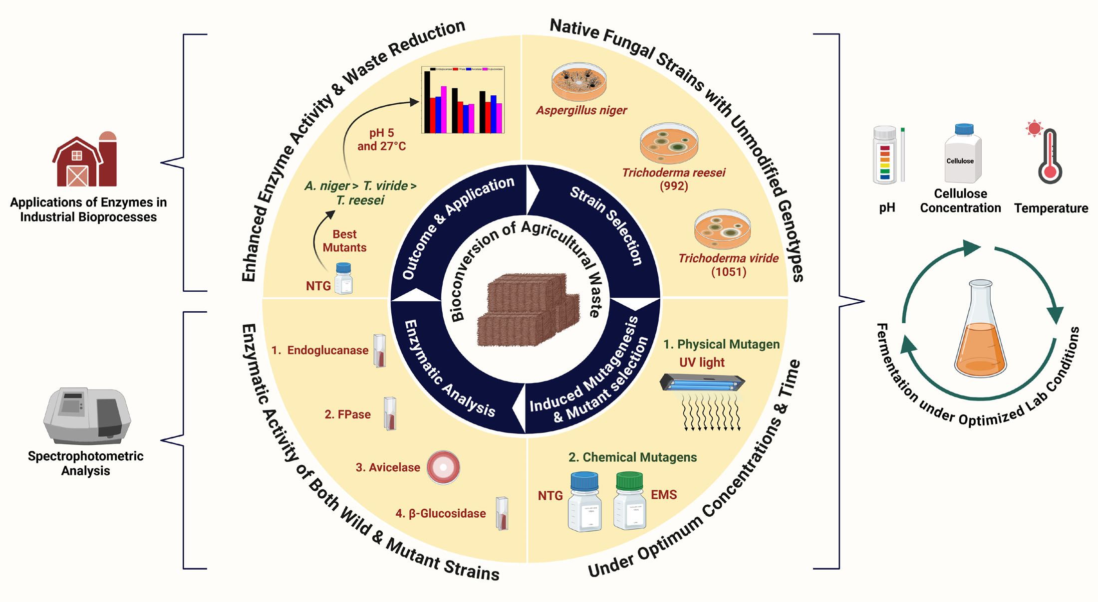 Graphical Abstract